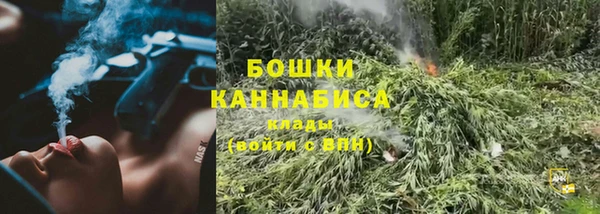 ПСИЛОЦИБИНОВЫЕ ГРИБЫ Белоозёрский