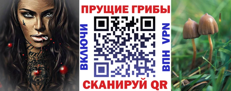 Псилоцибиновые грибы GOLDEN TEACHER  Яровое 